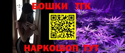 стафф Донецк